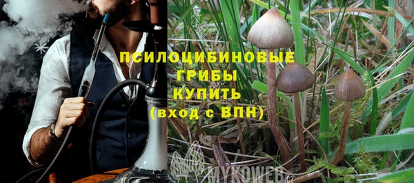 mdpv Каменск-Шахтинский