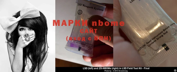 эйфоретик Алзамай