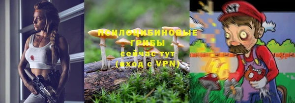 эйфоретик Алзамай