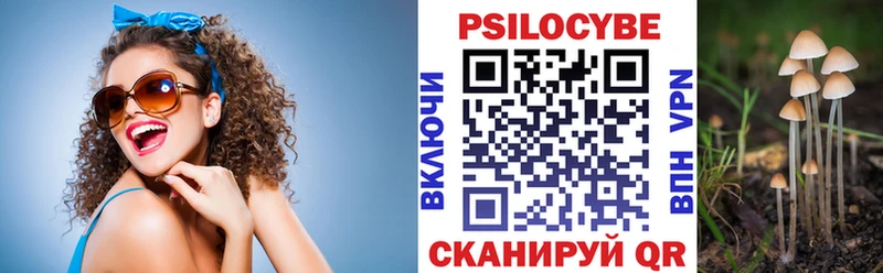 Галлюциногенные грибы Psilocybe  хочу наркоту  Южно-Сахалинск 